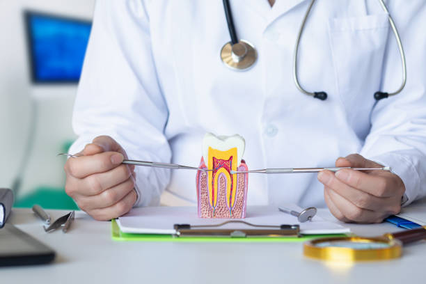 Best Pediatric Emergency Dentist in Anaconda, MT